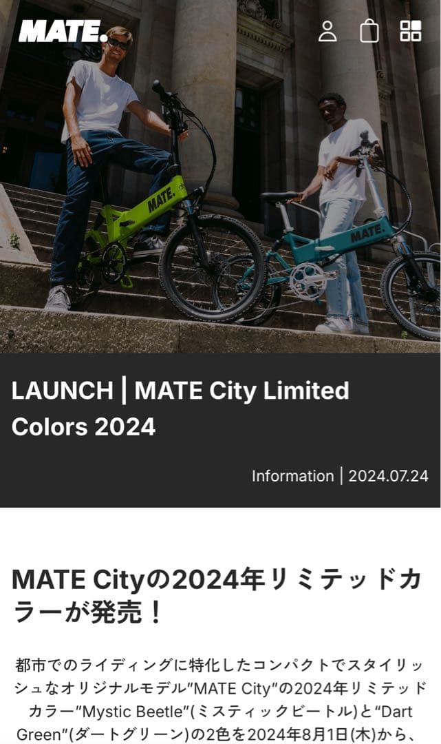 MATE City Mystic Beetle 純正オプション多数