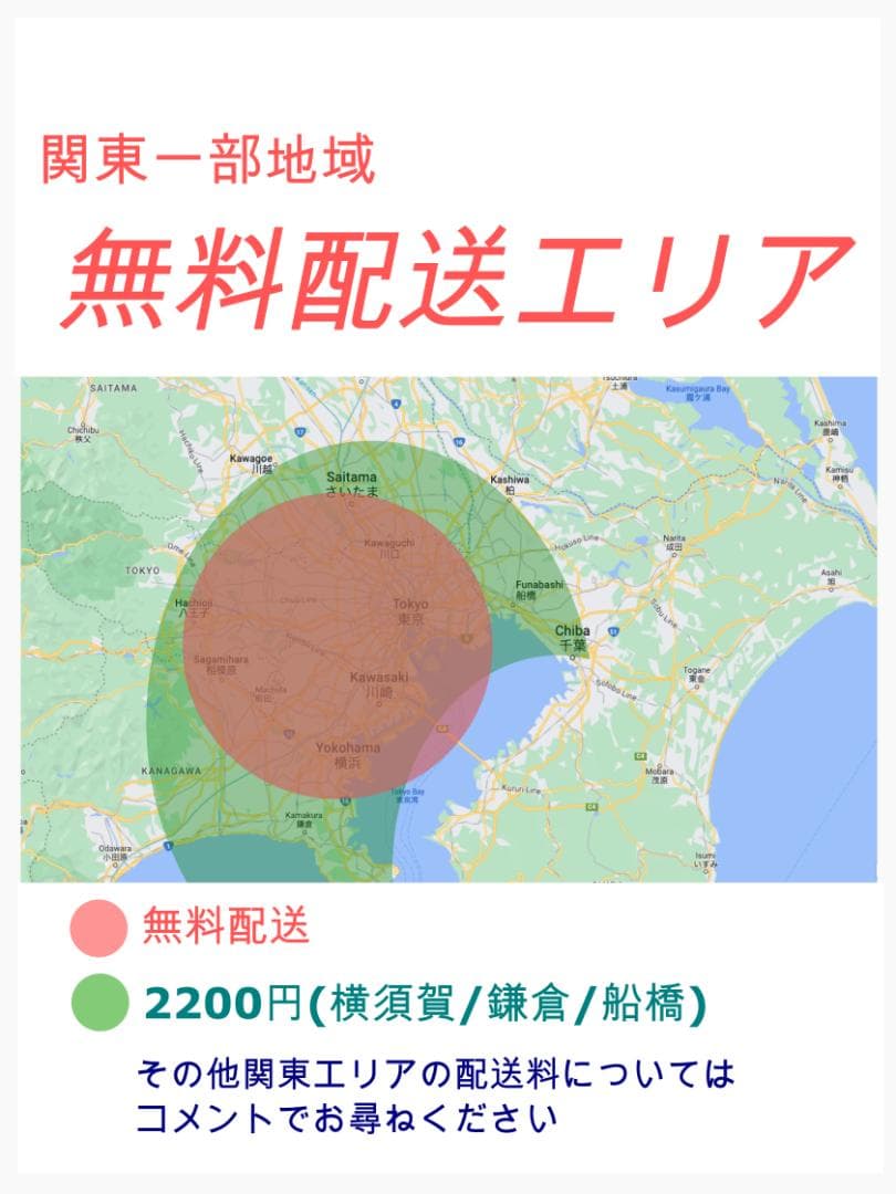 半年保証 エスニックターコイズ⭐️ 超特価電動自転車 ブリヂストンシテY1649