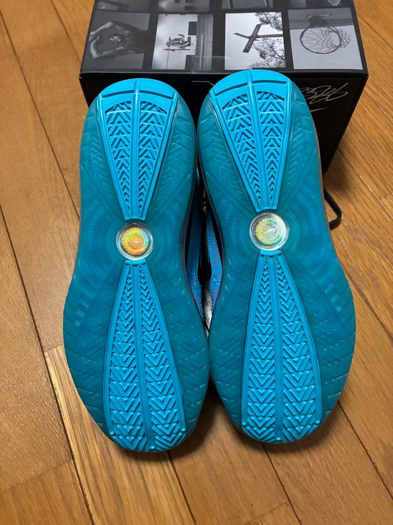 シューズ(男性用) NIKE LEBRON 7 26.5cm