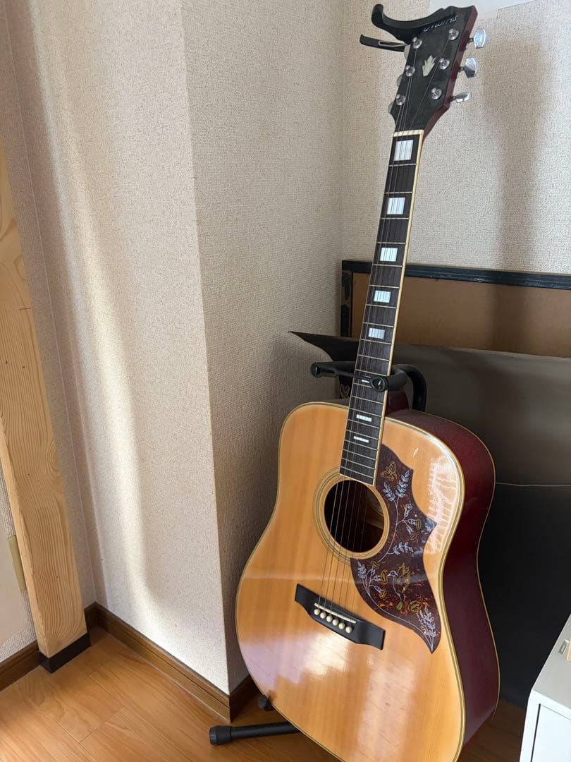 Morris アコースティックギター ハミングバードデザイン