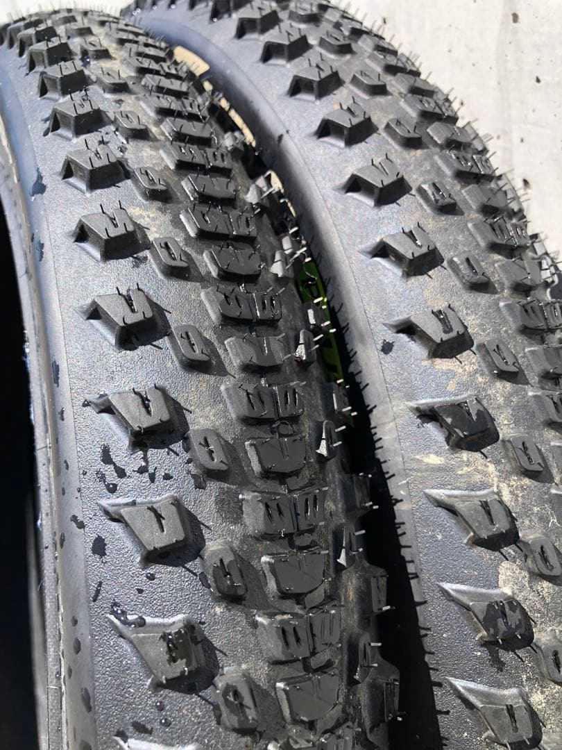 Continental ERuban Plus 20’’ x 2.4 2本セット