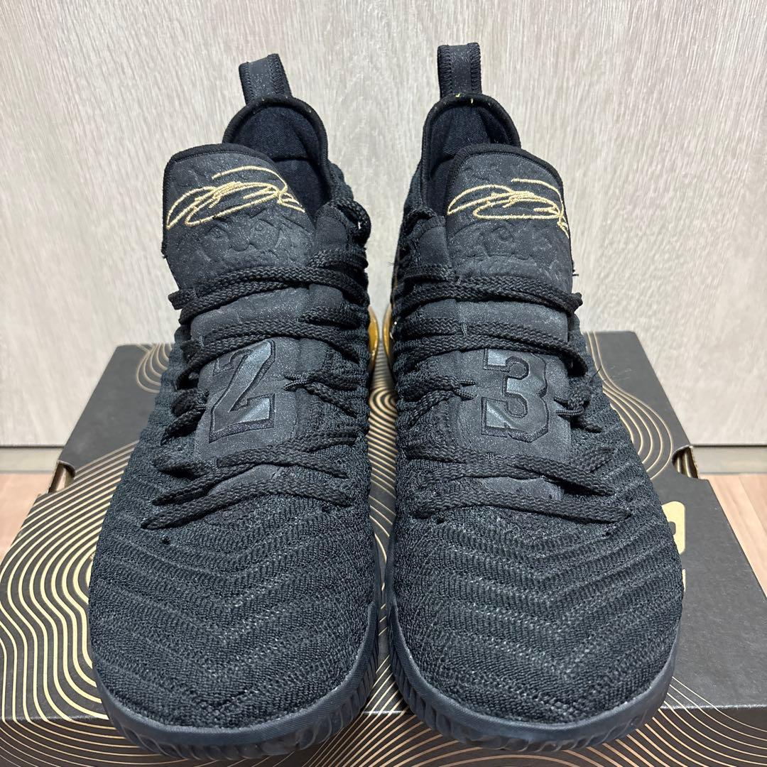 Nike LeBron 16 I'm King ナイキ レブロン16