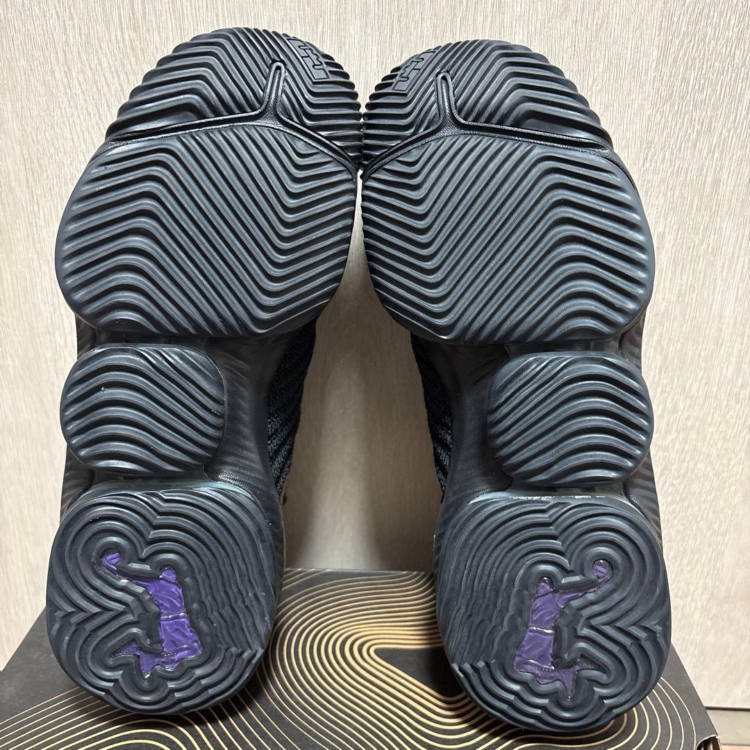 Nike LeBron 16 I'm King ナイキ レブロン16