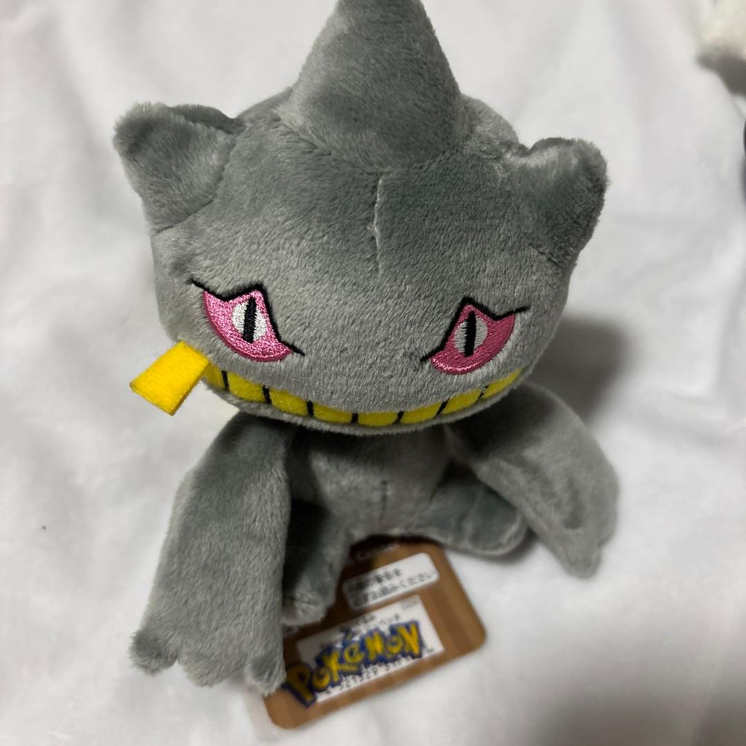ポケモンドール 3体セット