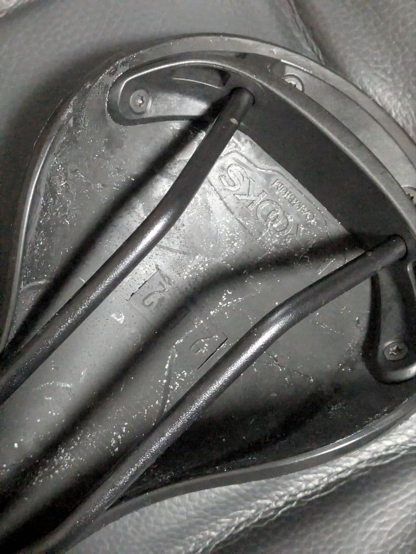 Brooks Cambium C15 状態良し