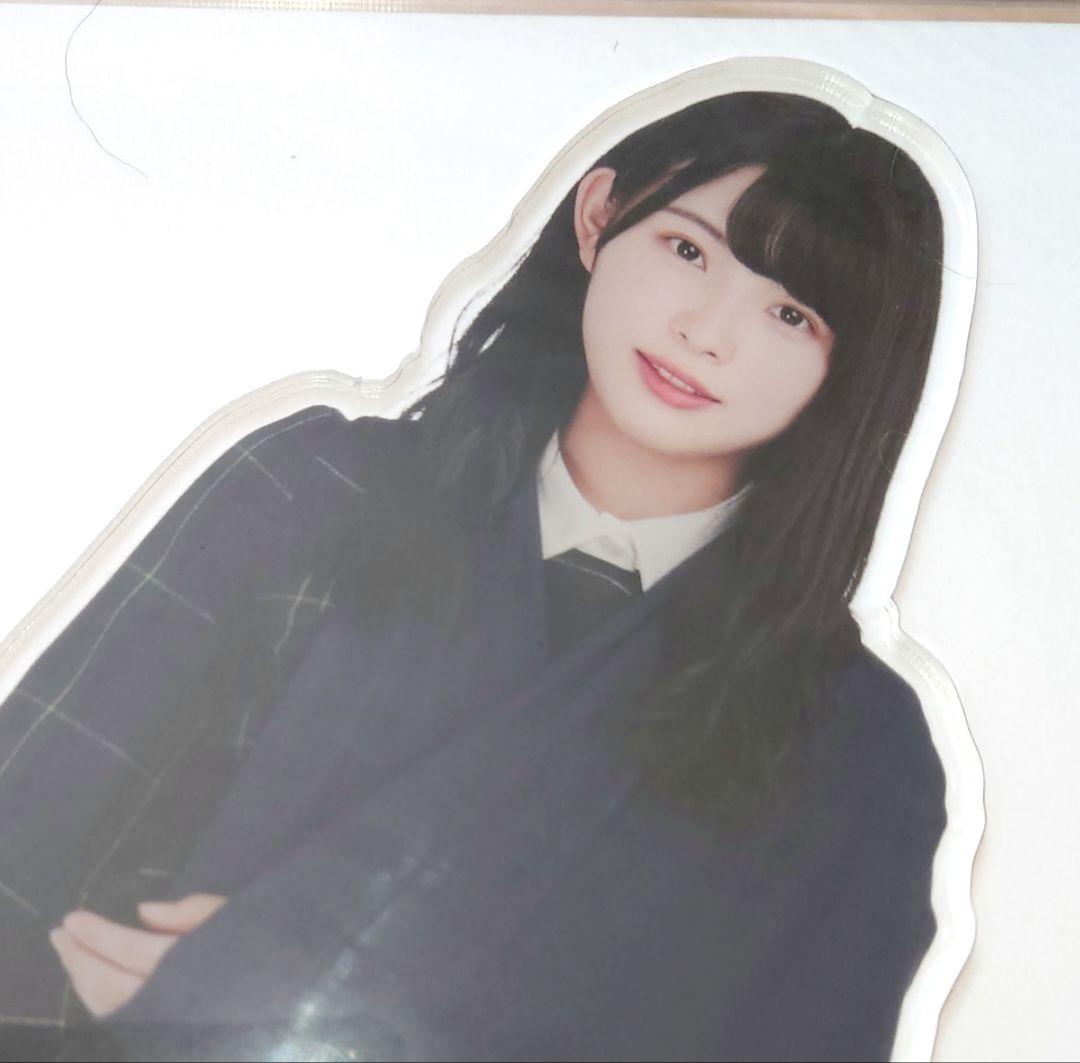 柿崎芽実(けやき坂46) アクリルフォトスタンド 欅坂46