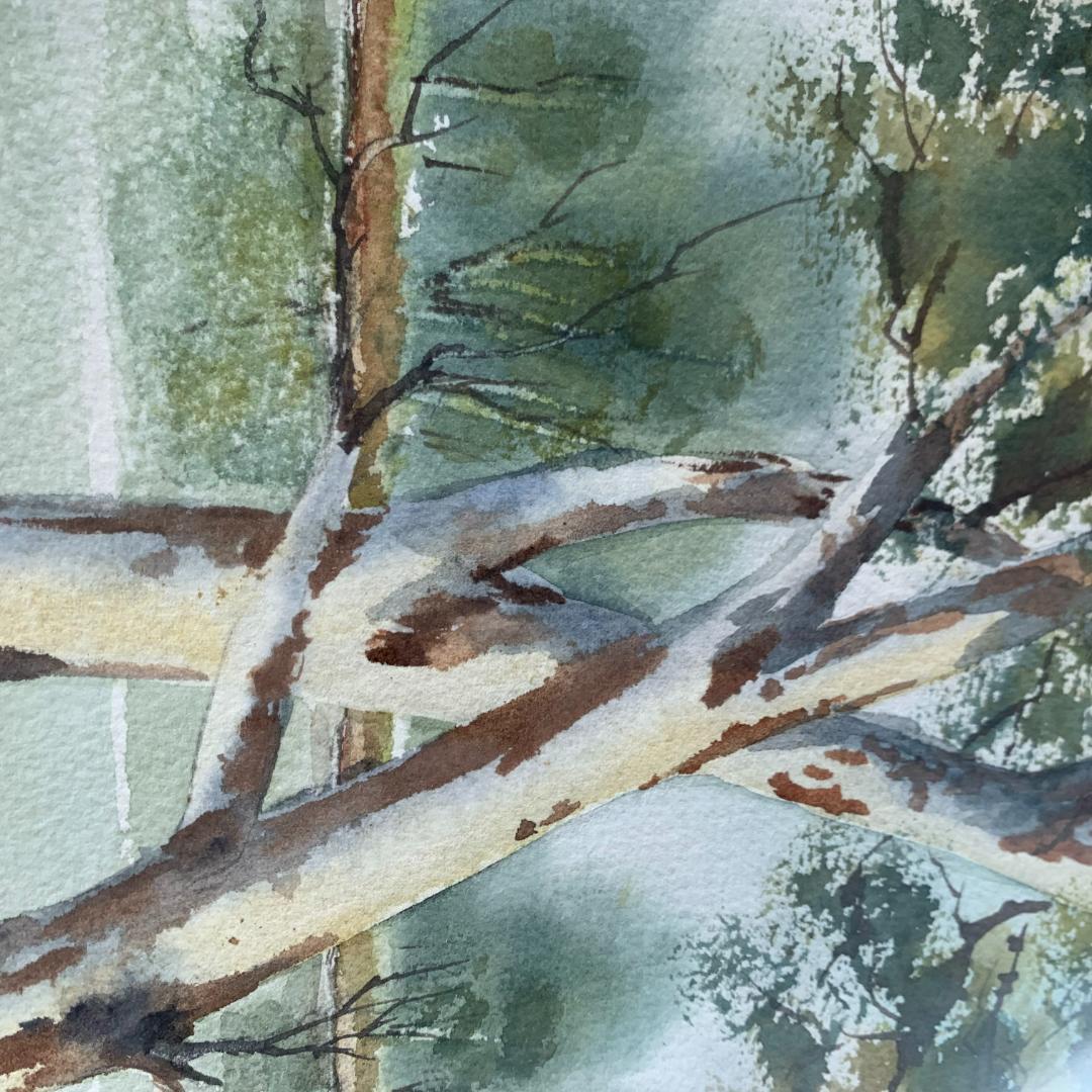 絵画 MOLLY LEWIS Murrumbidgee  in flood