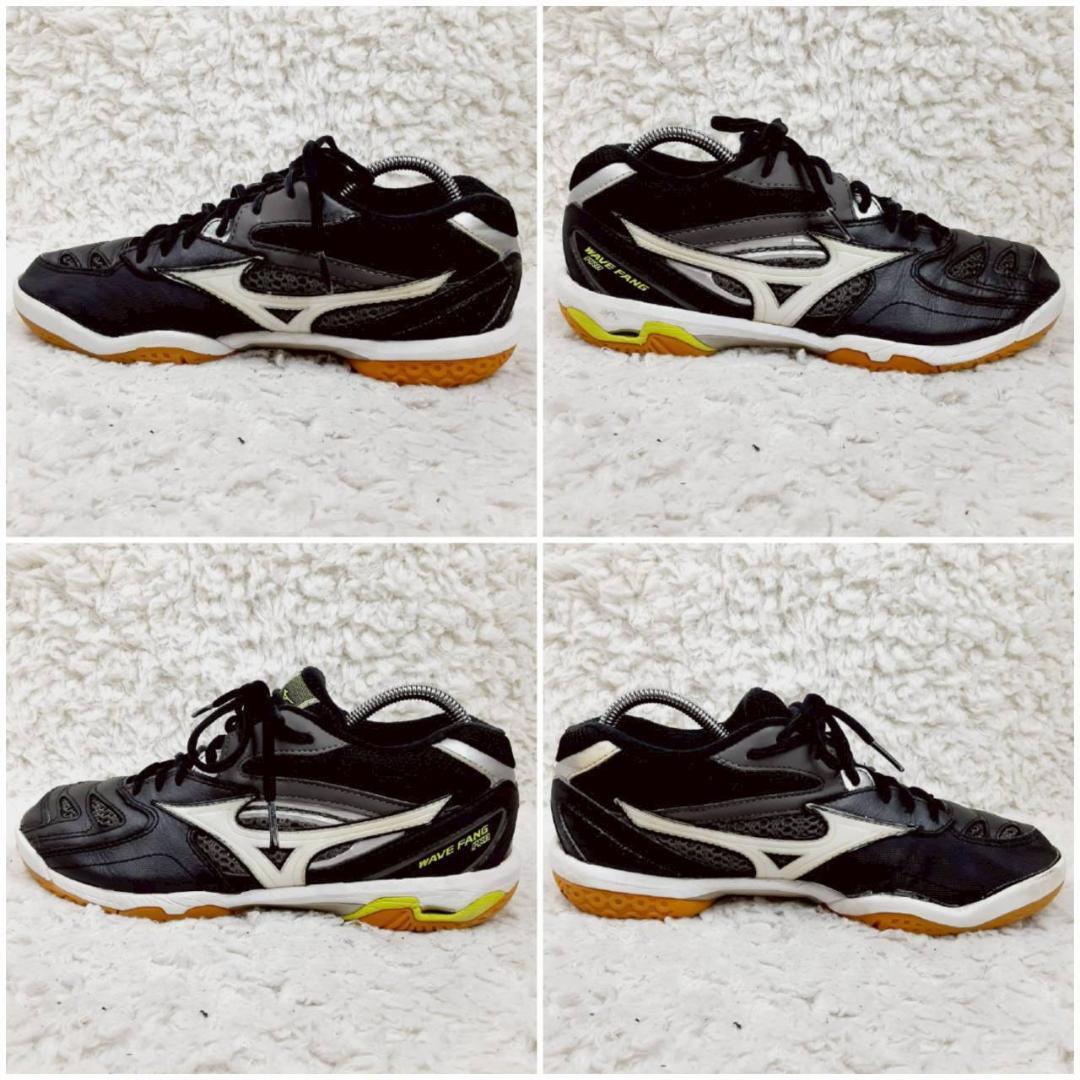 美品 25㎝◎MIZUNO WAVE FANG PRO バドミントンシューズ