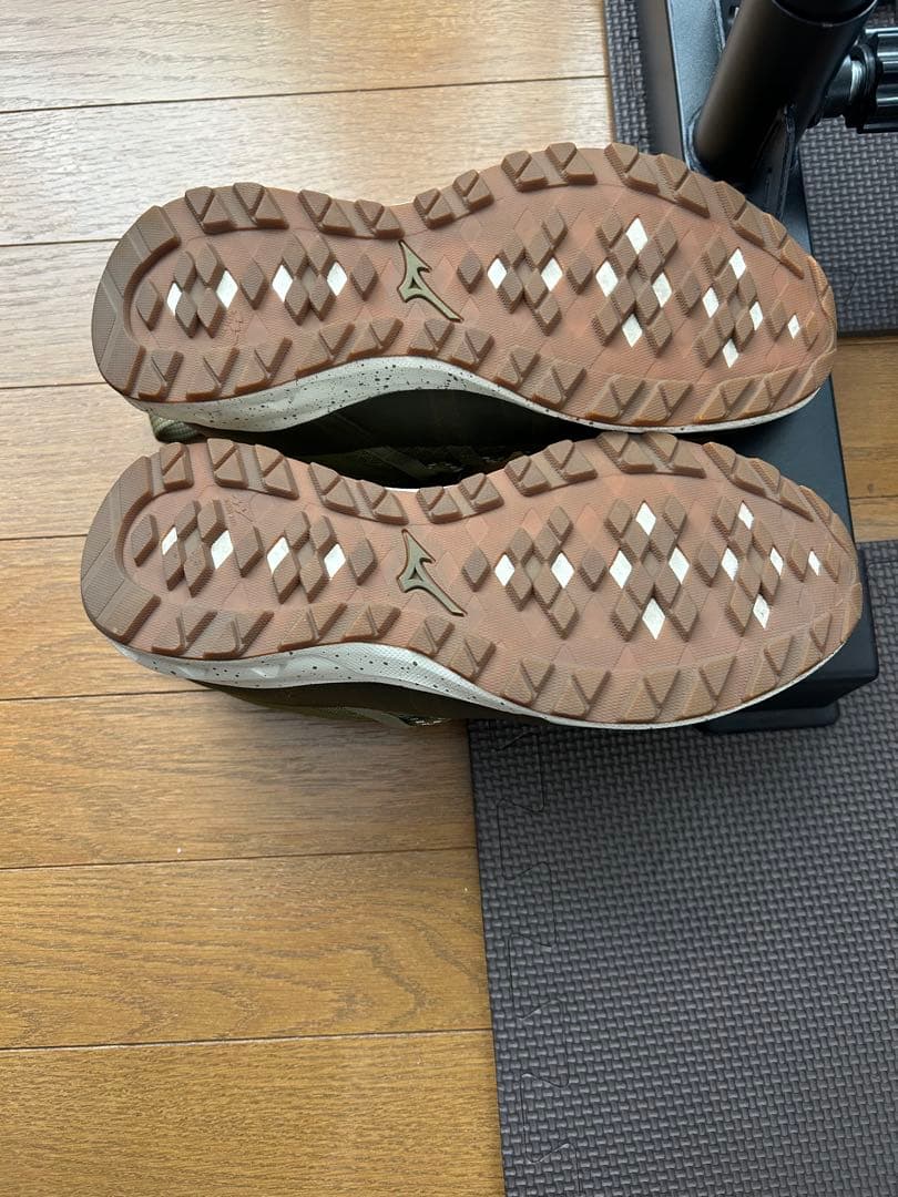 Mizuno GORE-TEX ウエーブエボーグ　25センチ