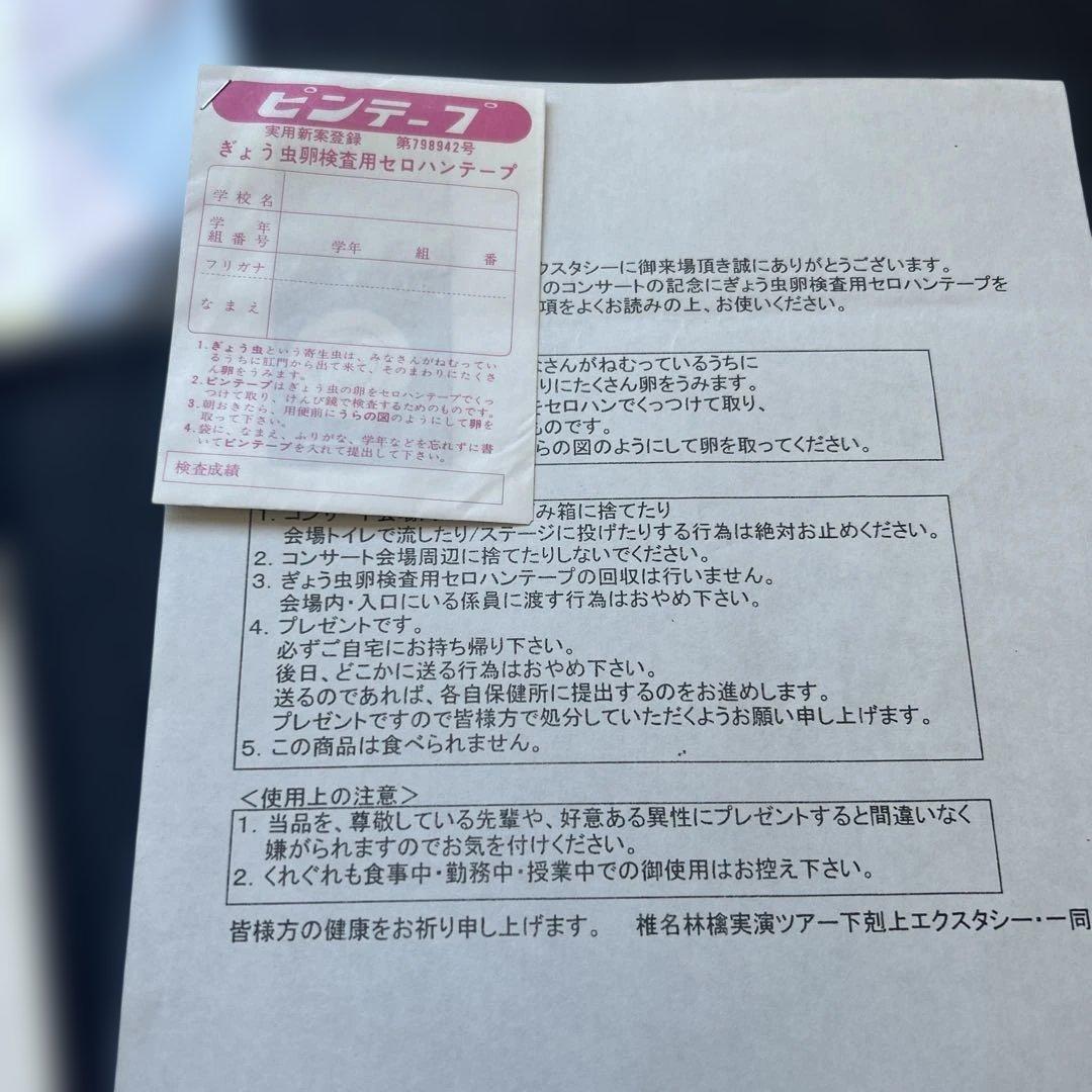 貴重　 椎名林檎 下剋上エクスタシー ツアーグッズ