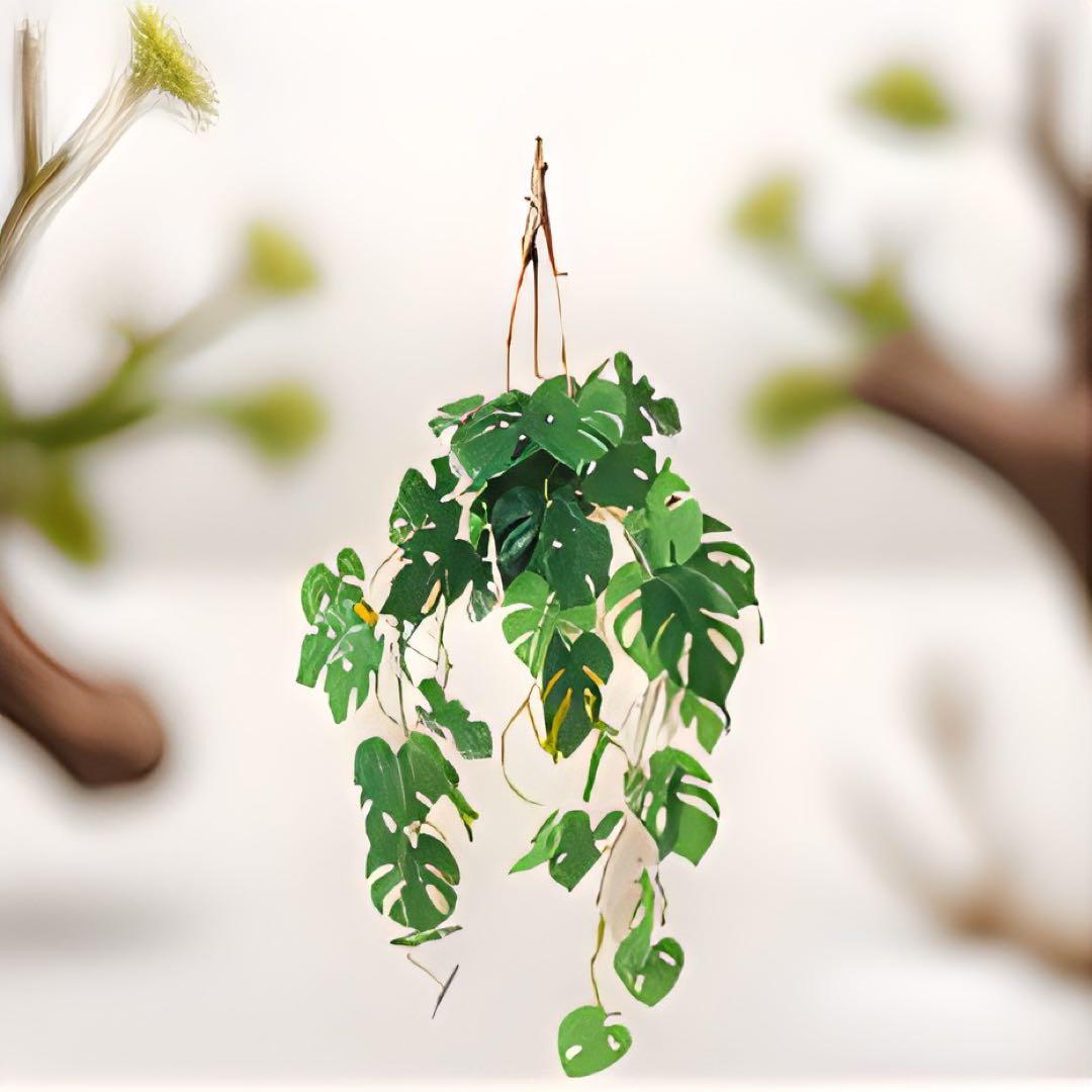 光触媒　人工観葉植物　ウォールグリーン　フェイクグリーン　ヒメモンスハンギング