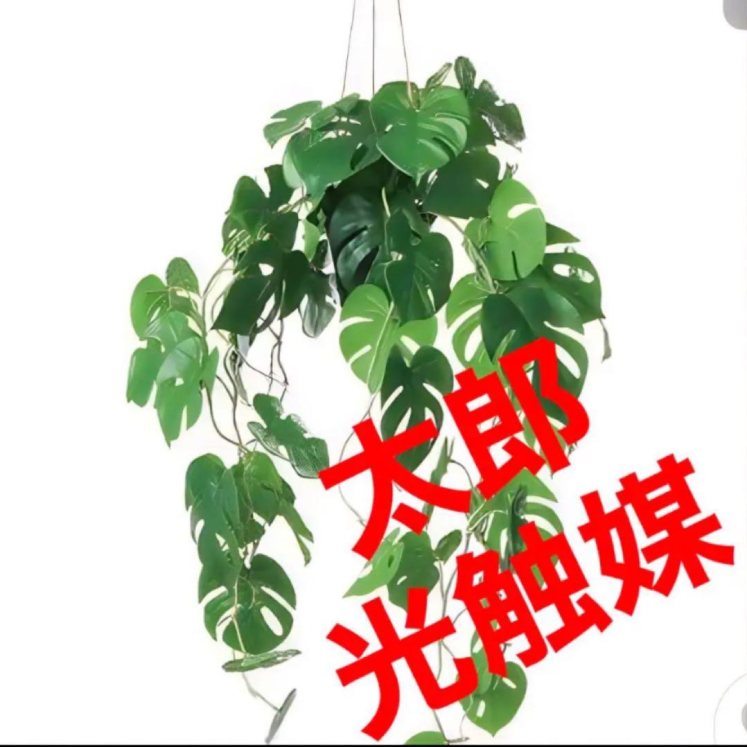 光触媒　人工観葉植物　ウォールグリーン　フェイクグリーン　ヒメモンスハンギング