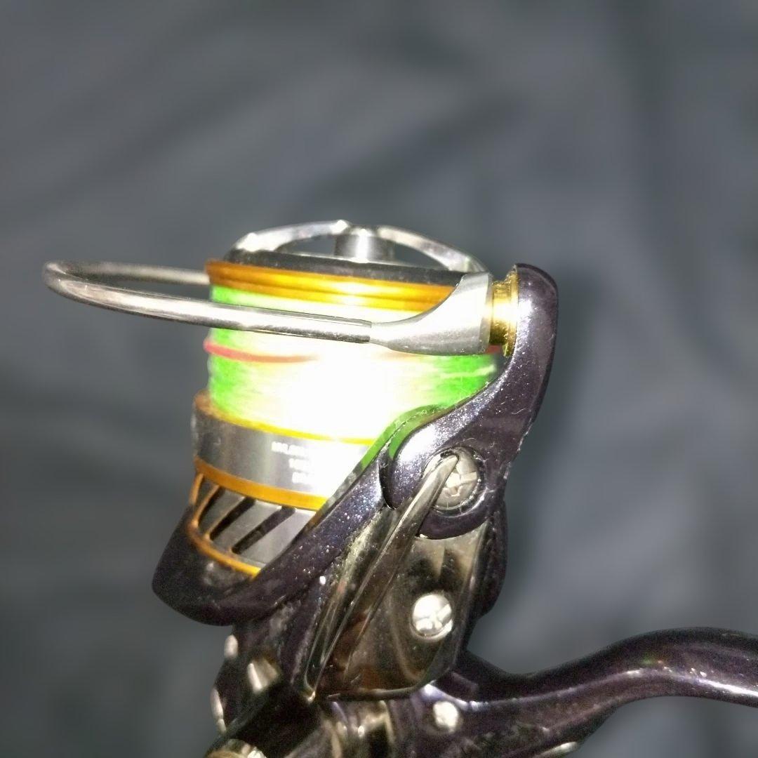 ダイワ Daiwa 20 レブロス LT4000-CH