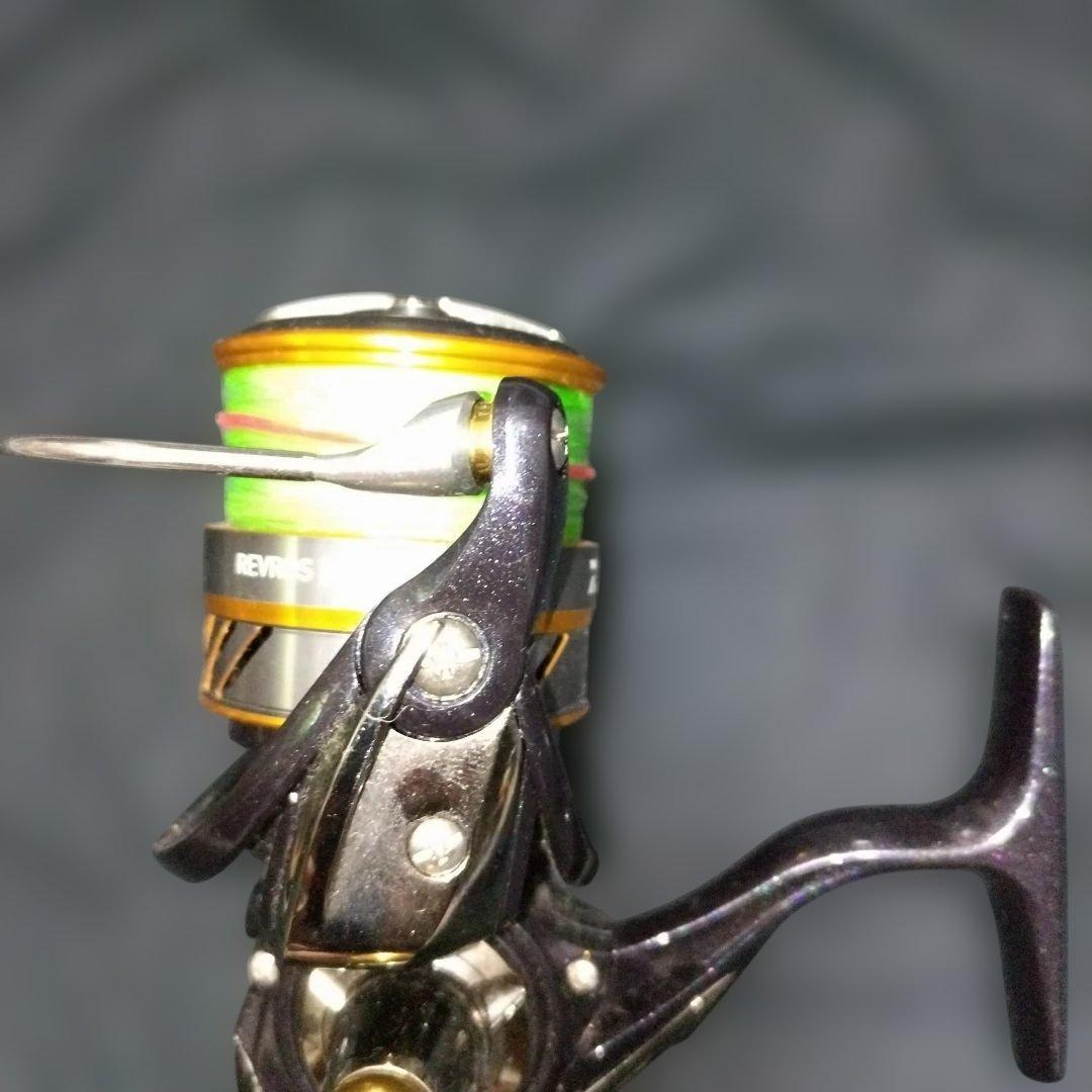 ダイワ Daiwa 20 レブロス LT4000-CH