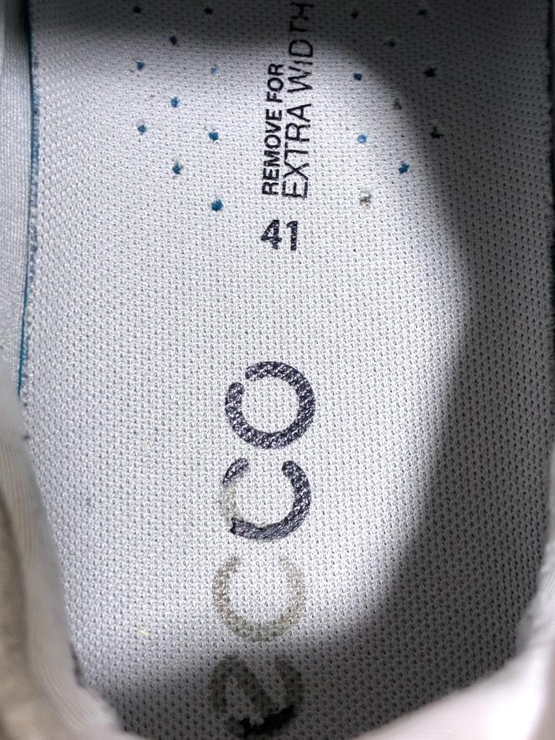 【早い者勝ち✨】エコーゴルフ ECCO BIOM C4 バイオム 26cm
