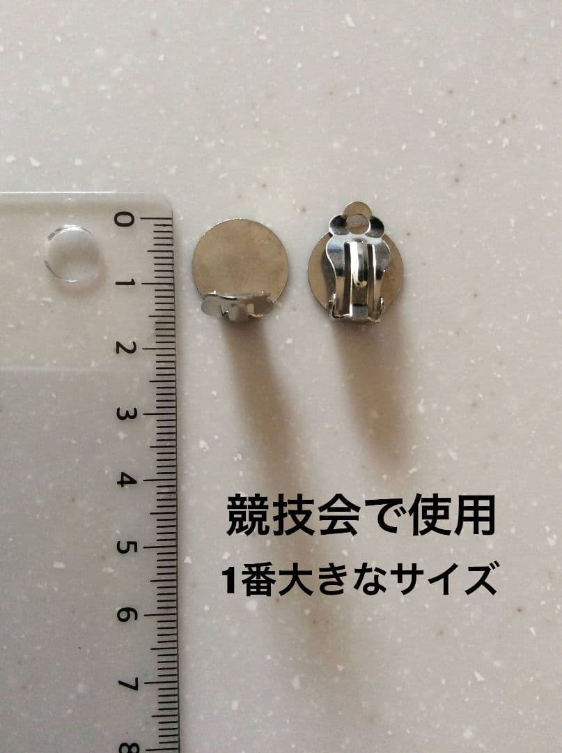 イヤリング 【スワロフスキー製】社交ダンス アクセサリー ドレス