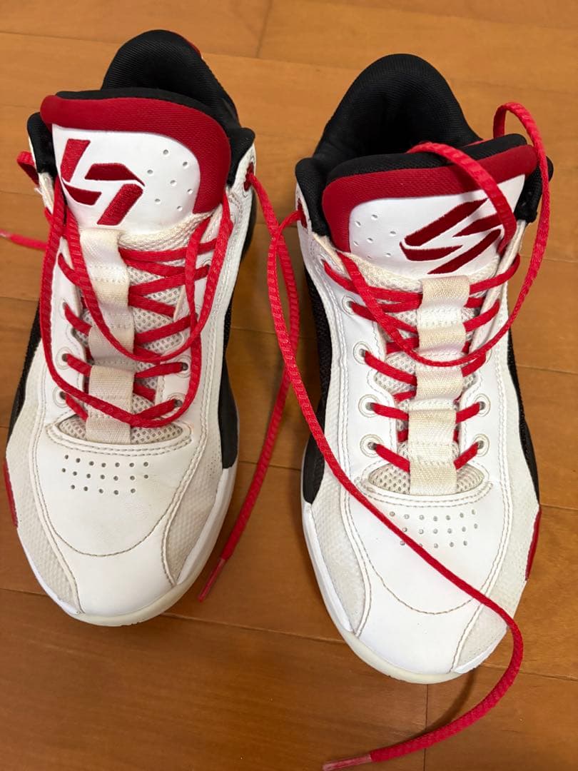 Jordan バスケットボールシューズ 25 ジョーダン NIKE ナイキ