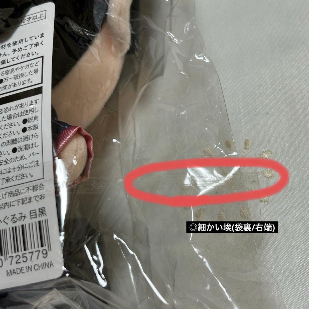 Man すのチル　ぶら下がらないシリーズ BIGぬいぐるみ【目黒蓮】