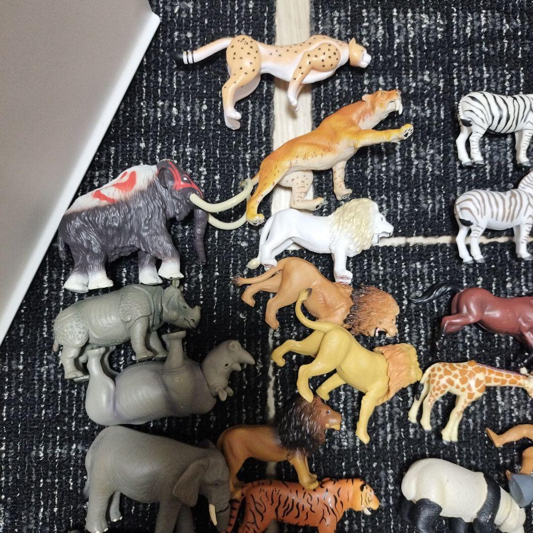 アニア動物64体