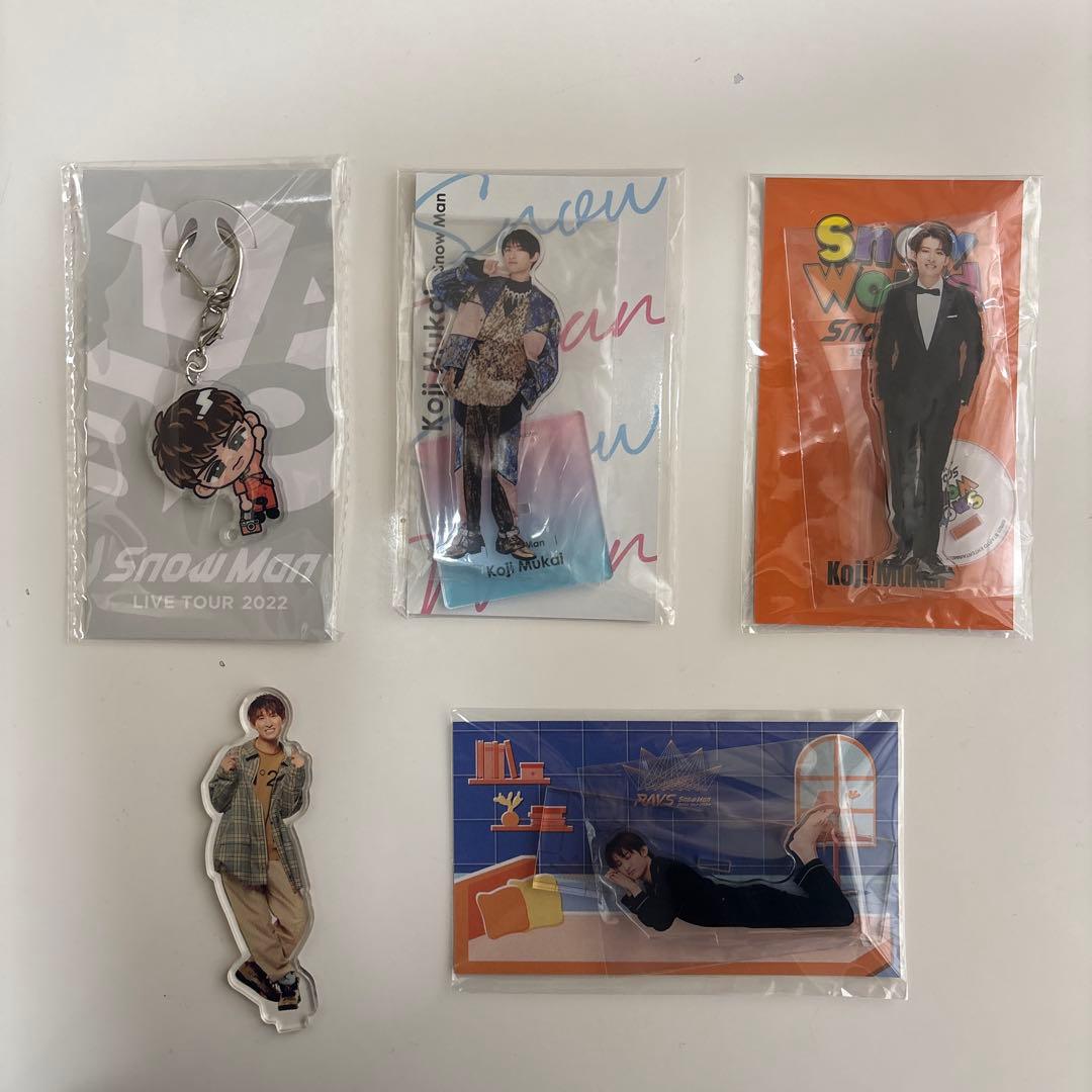 向井康二 グッズ まとめ売り