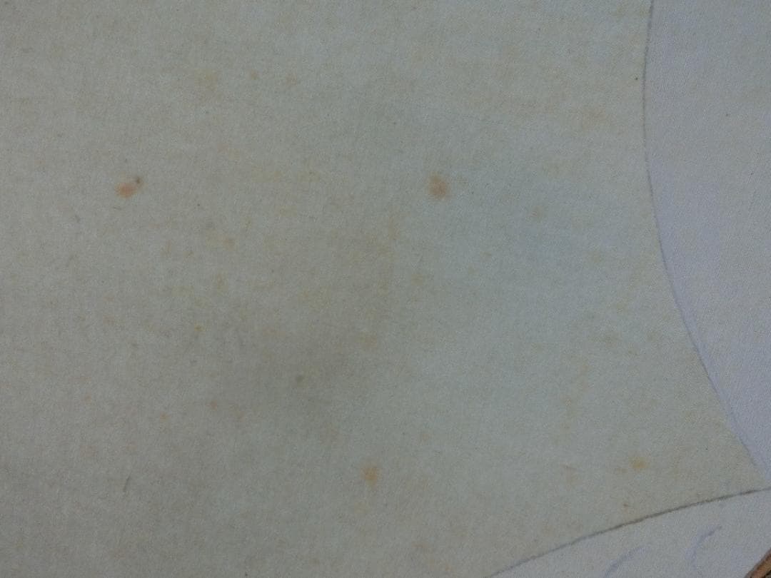 ㉗桂泉画 鶴 日本画 掛け軸
