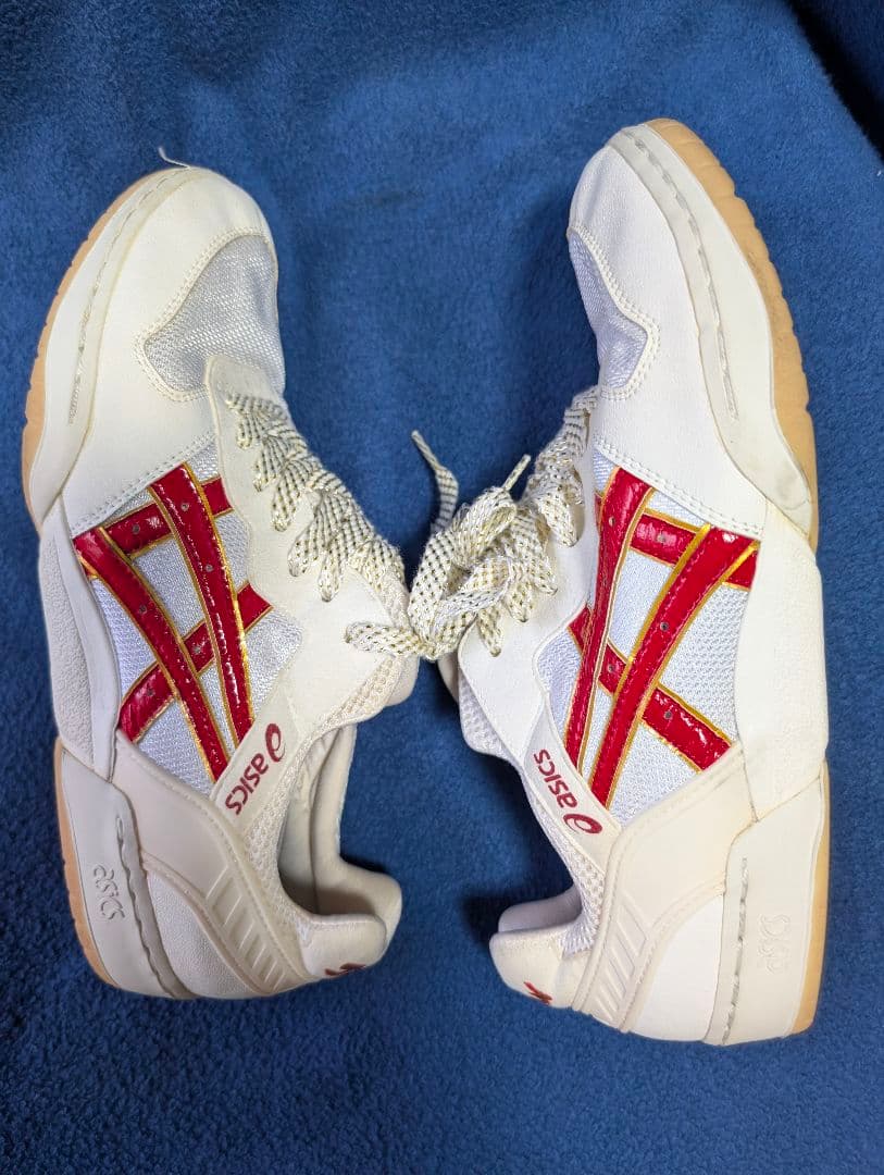 拝啓miichさま_ASICS　ローテジャパン　TVR340 27cm
