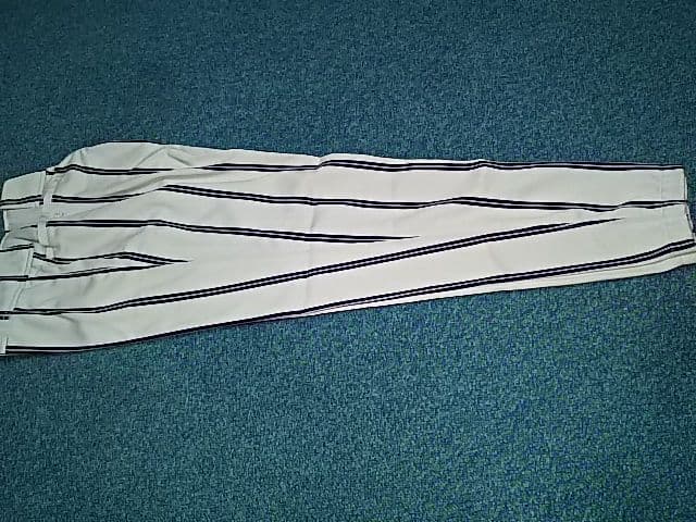 MIZUNOPRO 新品 ミズノプロ ロングパンツ Ｌサイズ プロコレクション