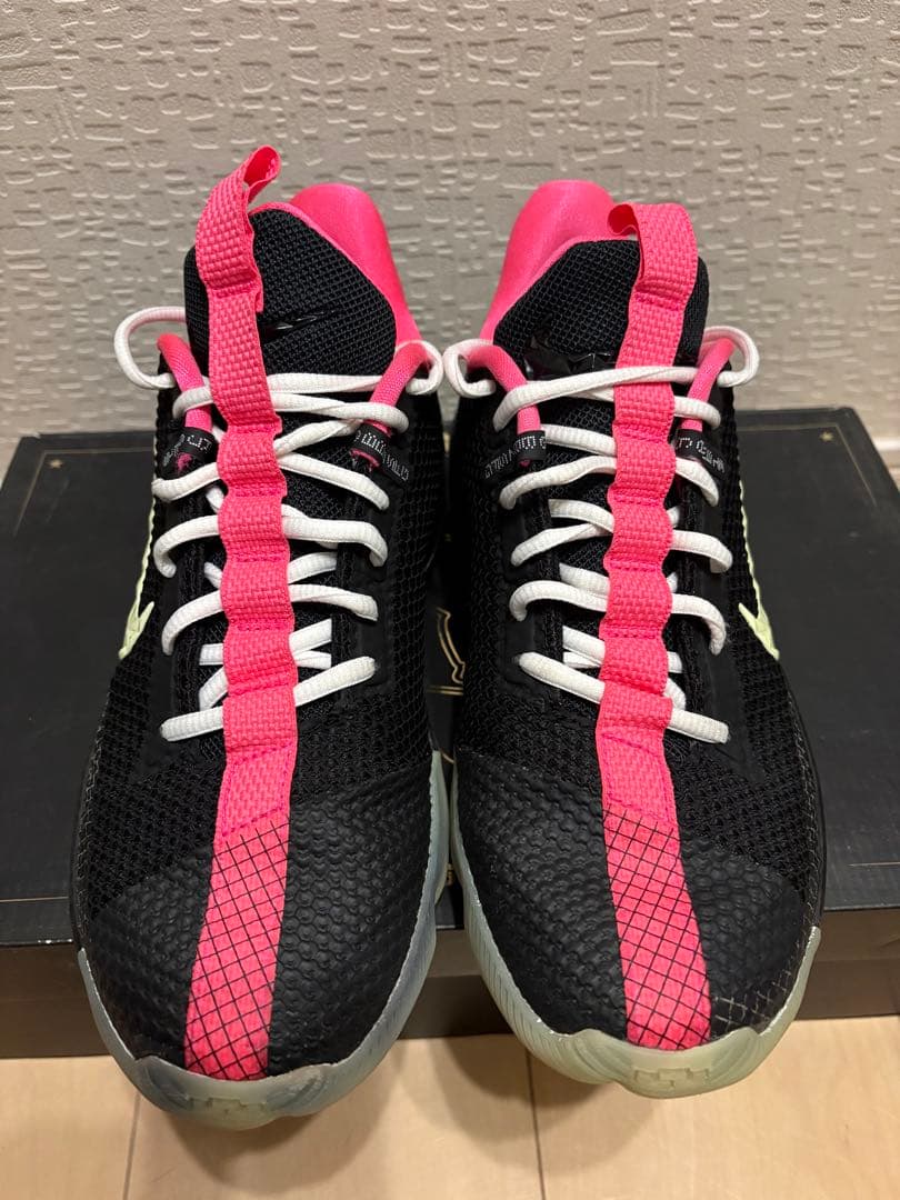シューズ(男性用) LeBron ZOOM AMBASSADOR 13 \"yeezy\" 26.5
