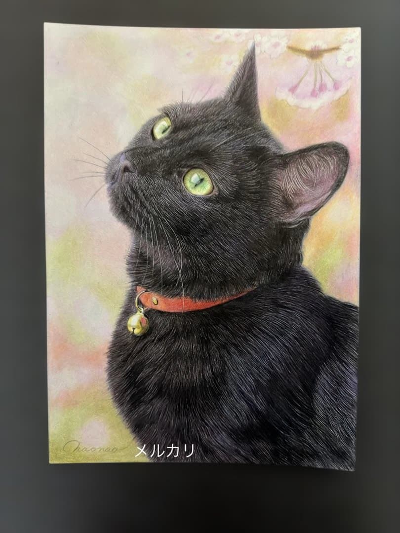 色鉛筆画.A4.黒猫.57
