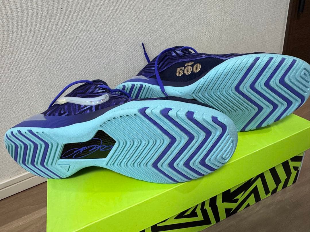 NIKE/ナイキ バスケットボールバッシュ_ レブロンジェームス