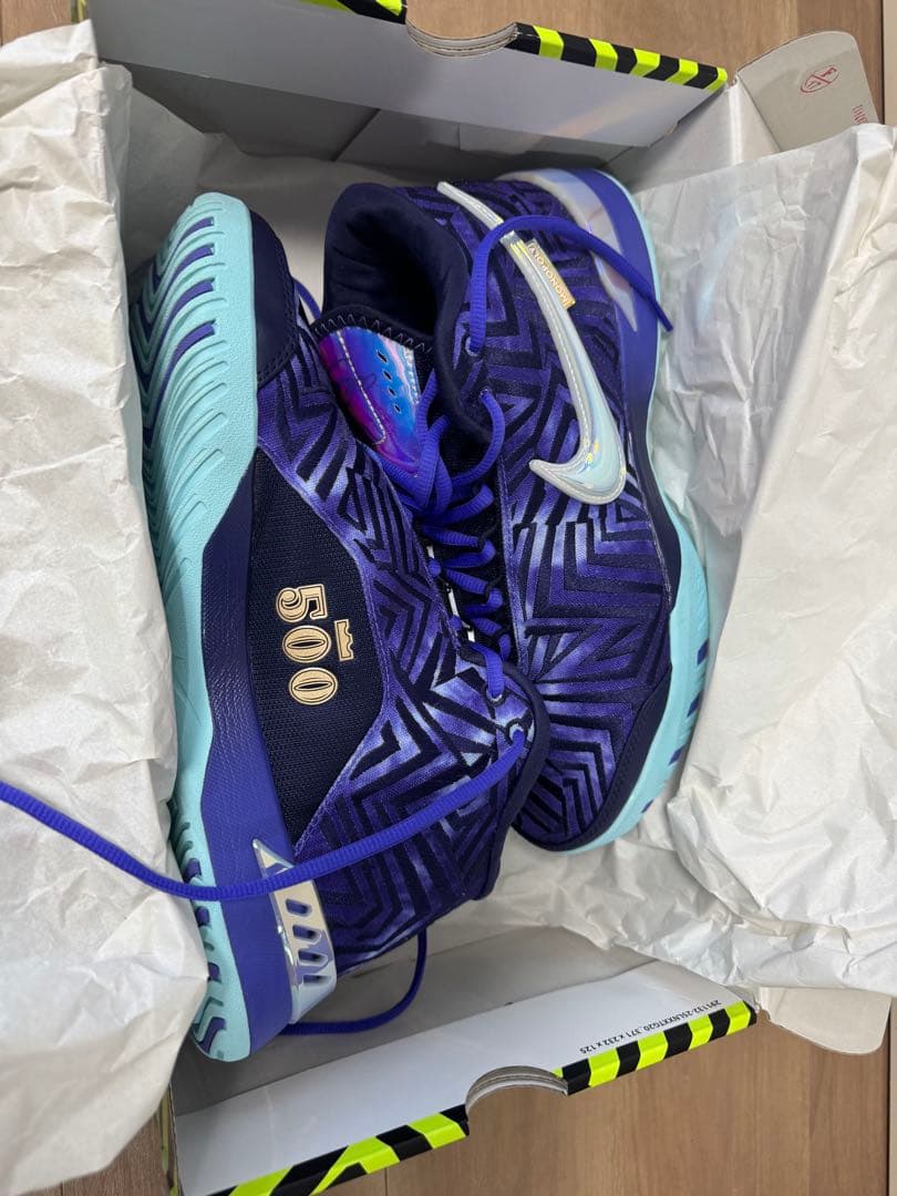 NIKE/ナイキ バスケットボールバッシュ_ レブロンジェームス