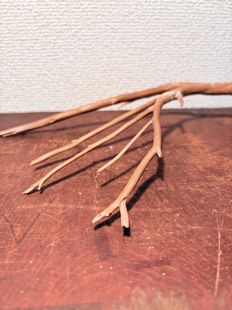 海松 深海松 レインボーコーラル 原木 珊瑚 希少　　　　　　 こぶ付き