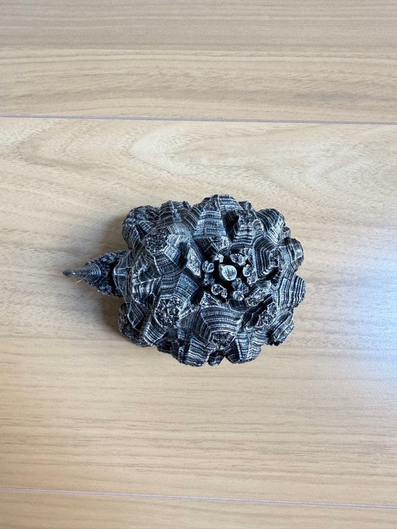 【新品】OZWRT 亀甲竜 ver.WC シルバー