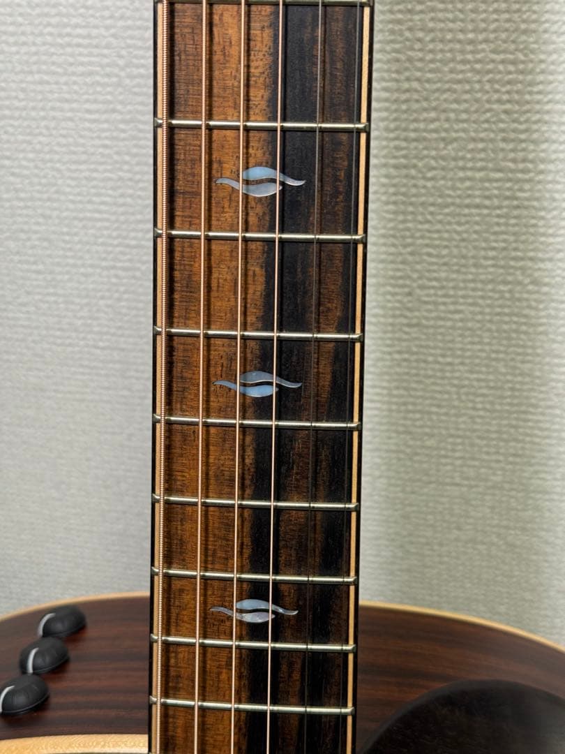 Taylor Builder’s Edition 816ce