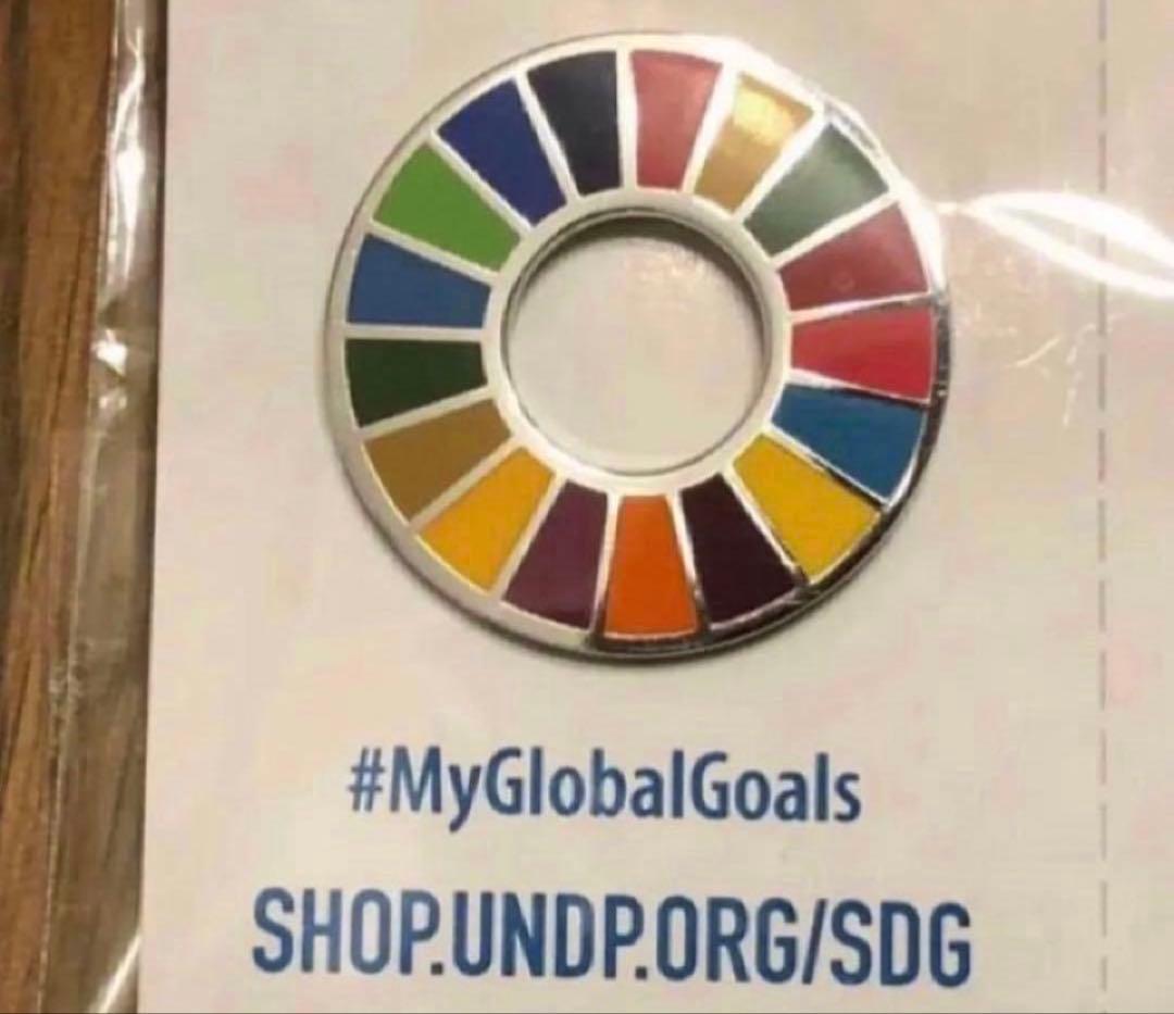 SDGs 法人・団体向け　50個セット