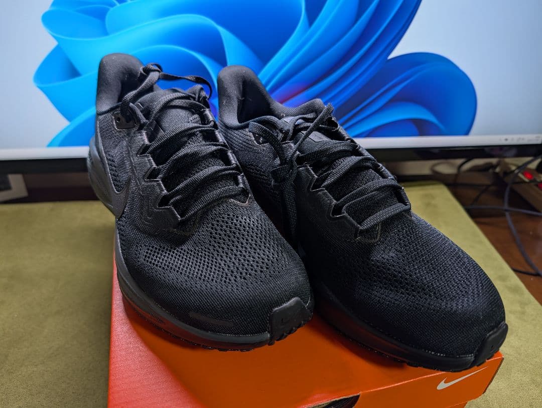 スパイク・シューズ Nike Air Zoom Pegasus 41 25.5cm