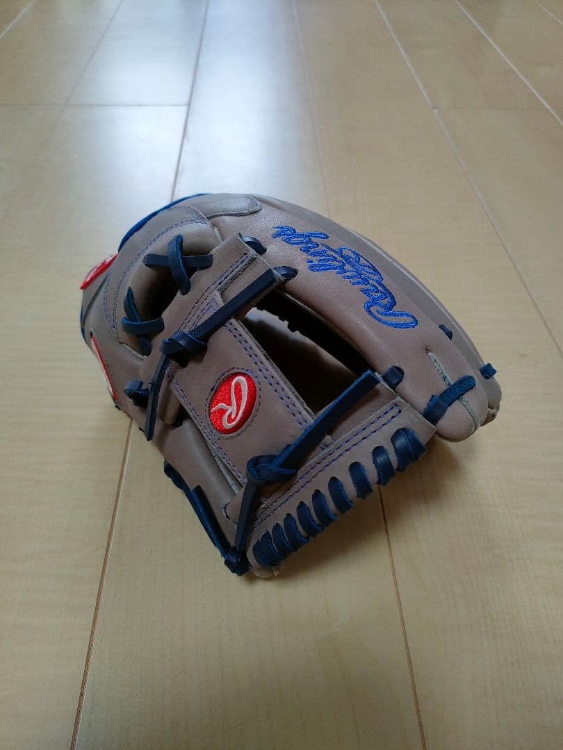 Rawlings 軟式グローブ The Gold Glove