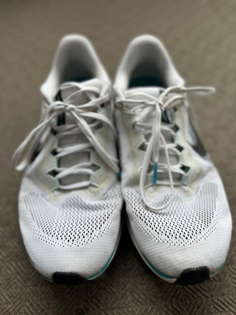 Nike ペガサス41 (26.5)最終値下げ