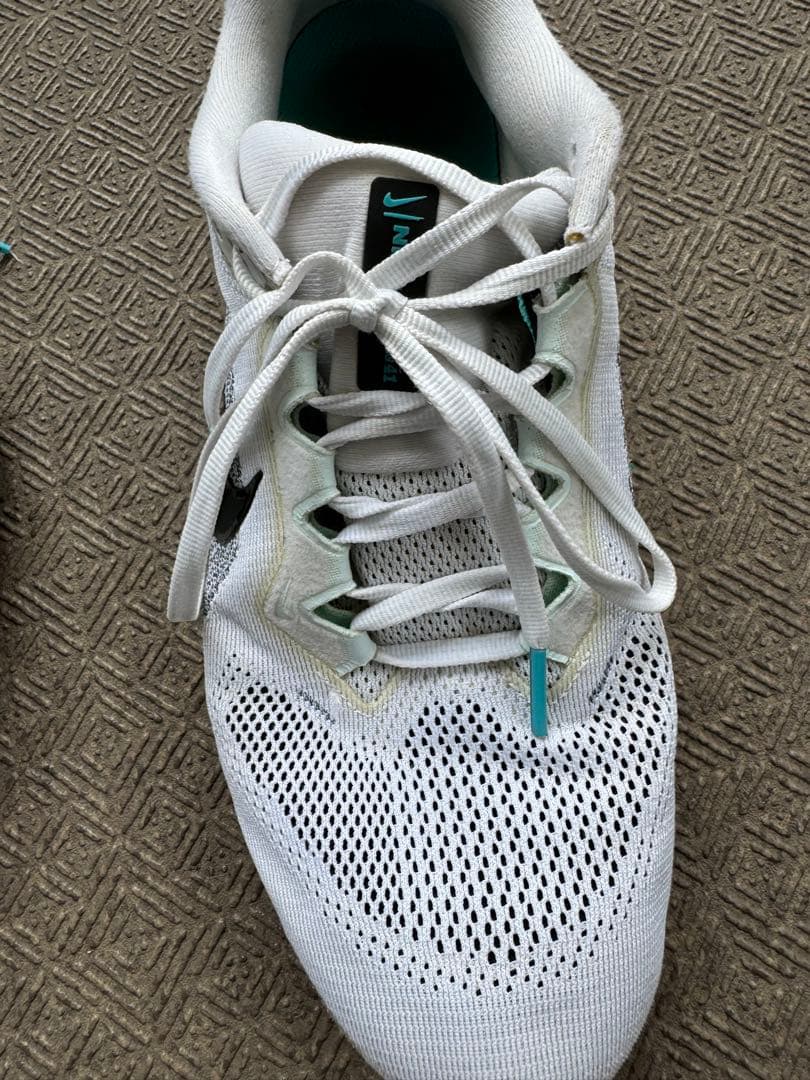 Nike ペガサス41 (26.5)最終値下げ