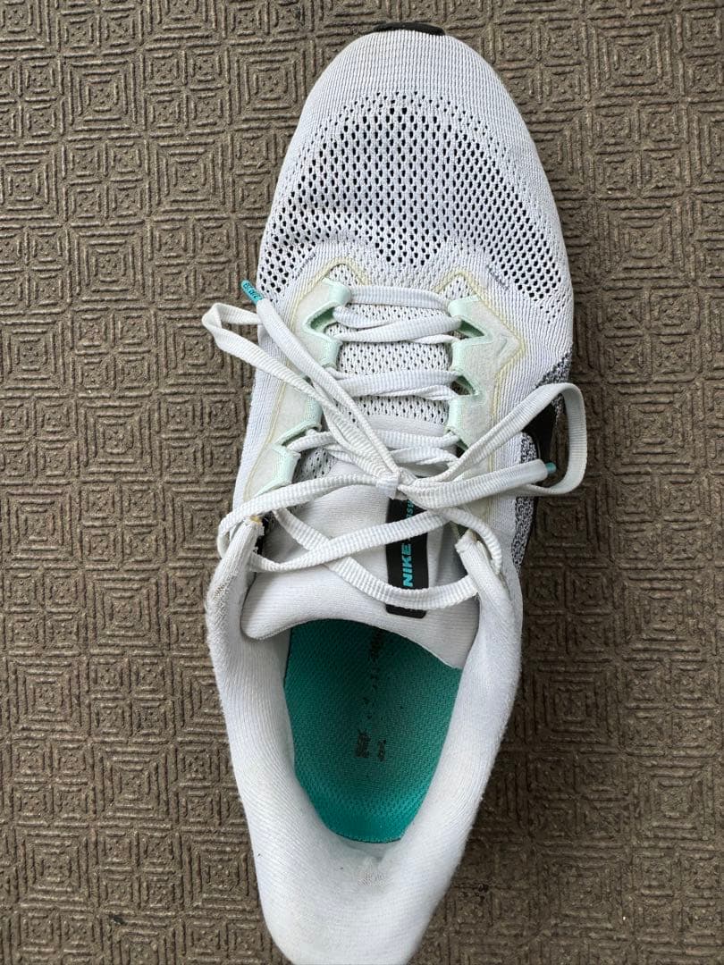 Nike ペガサス41 (26.5)最終値下げ