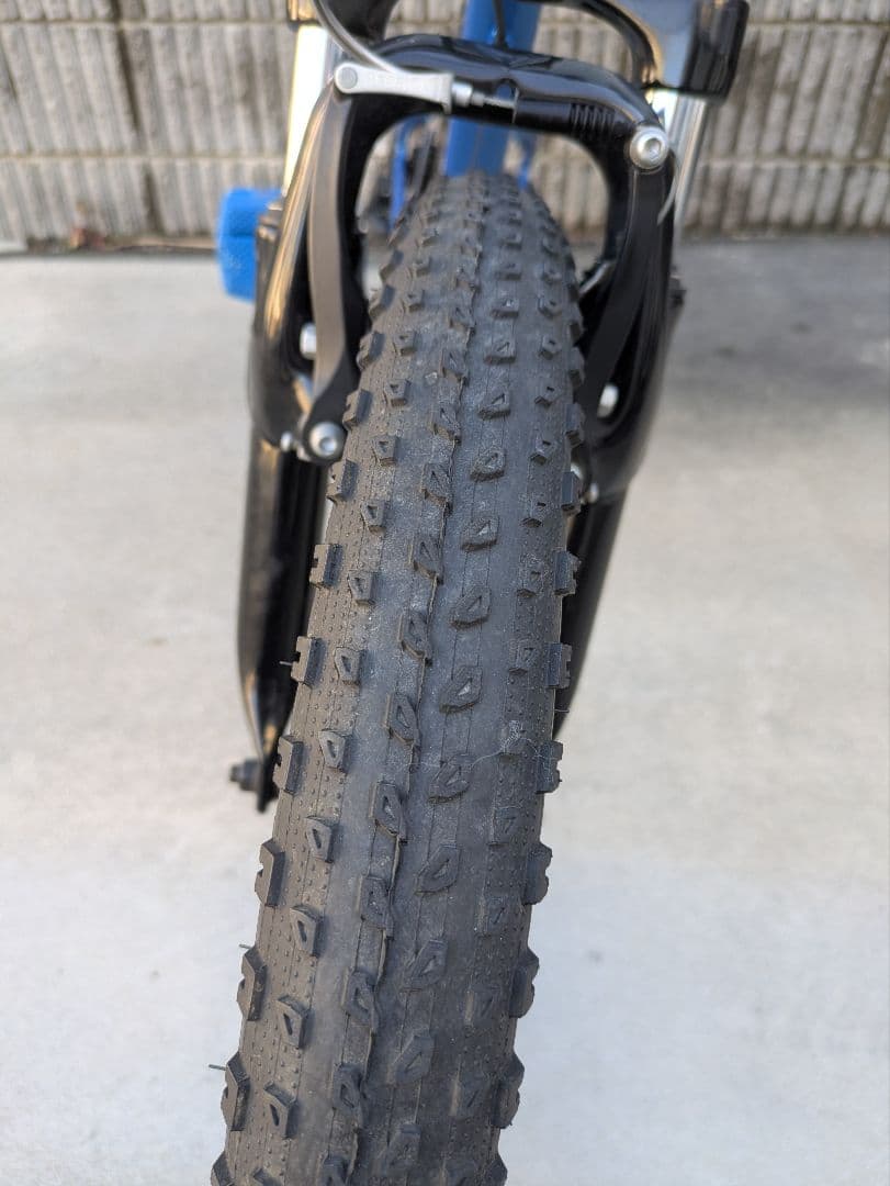 『直接引取限定』TREK キッズバイク Precaliber 20インチ 青
