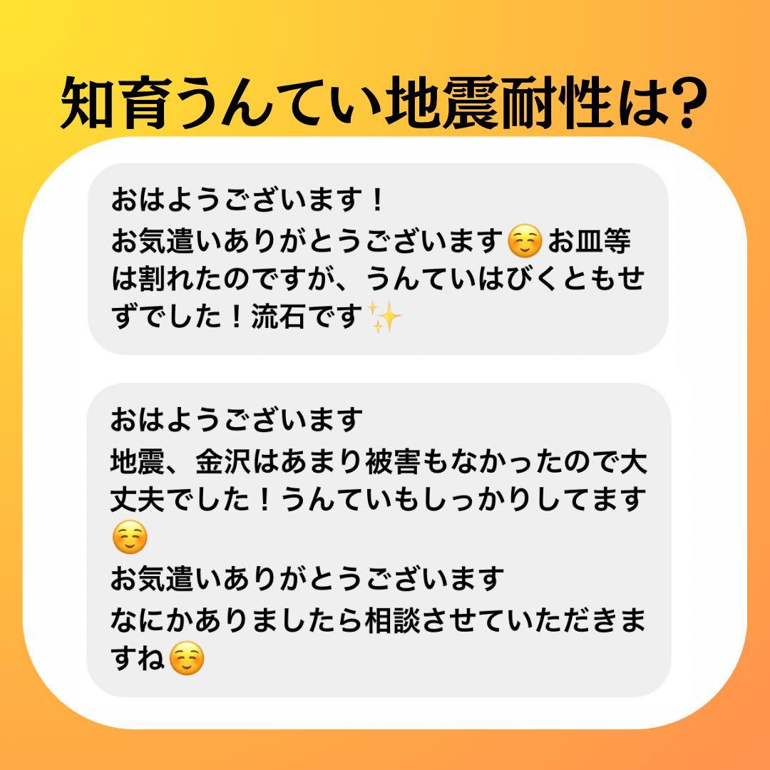 知育うんてい　室内うんてい　頑丈　ボルダリング　雲梯　鉄棒