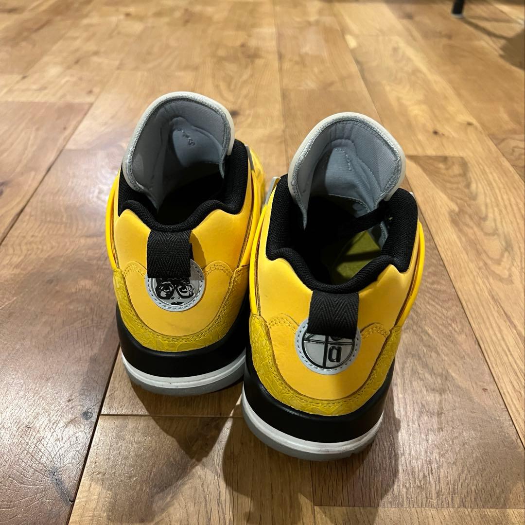シューズ(女性用) NIKE AIR JORDAN SPIZIKE LOW