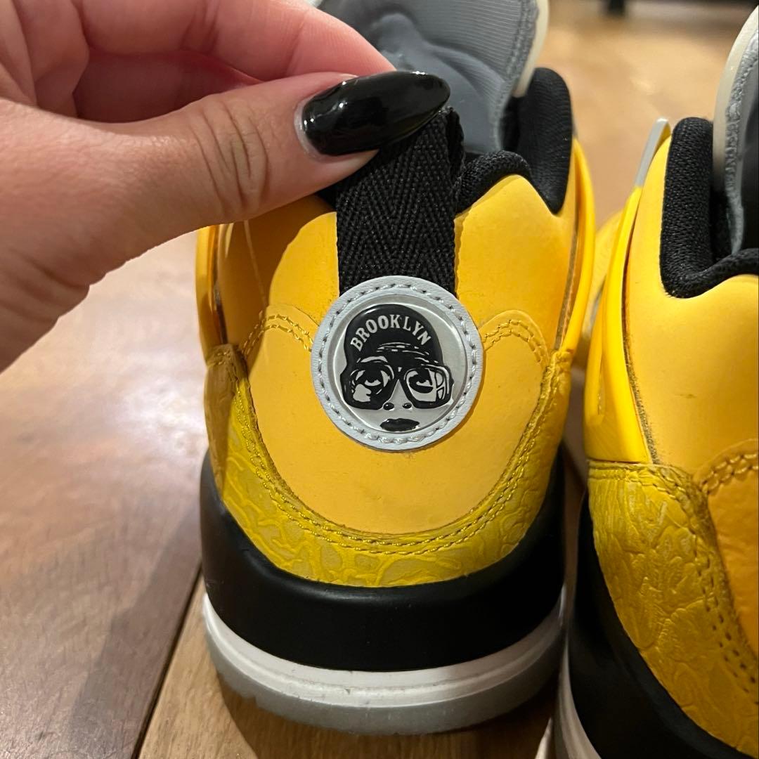 シューズ(女性用) NIKE AIR JORDAN SPIZIKE LOW