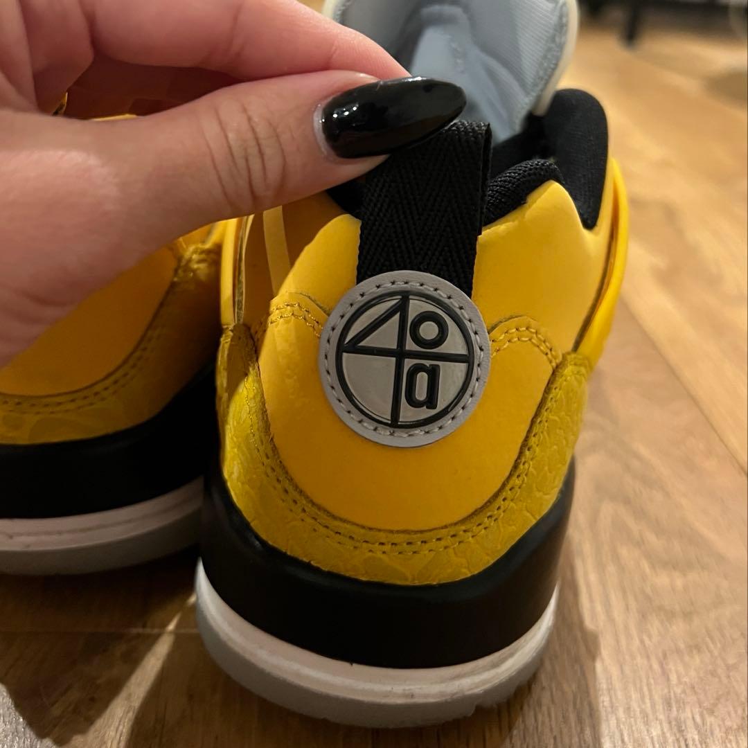 シューズ(女性用) NIKE AIR JORDAN SPIZIKE LOW
