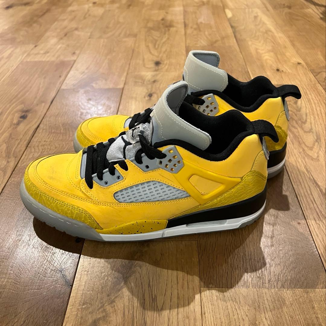 シューズ(女性用) NIKE AIR JORDAN SPIZIKE LOW