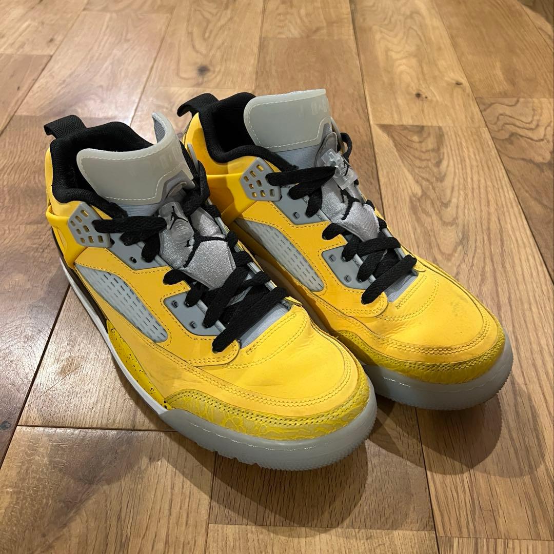シューズ(女性用) NIKE AIR JORDAN SPIZIKE LOW