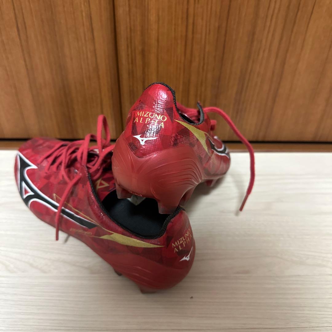 Mizuno Alpen Japan (カーボン入り)