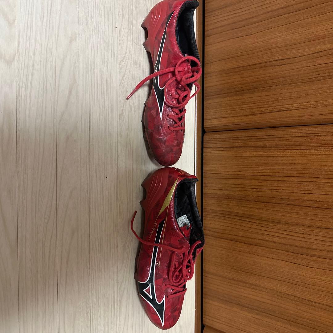 Mizuno Alpen Japan (カーボン入り)