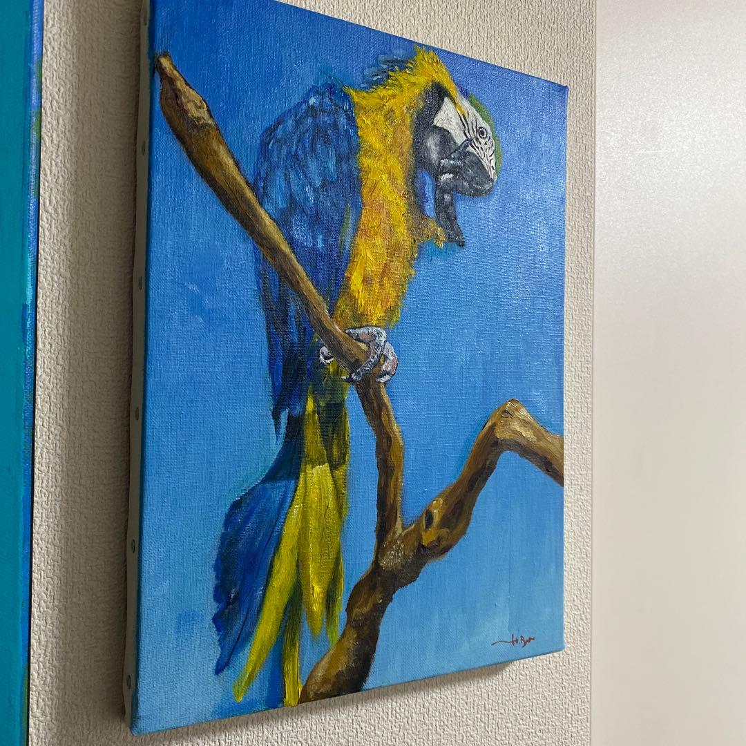 金運インコ